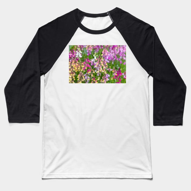 Linaria maroccana, Linaria 'Northern Lights' Baseball T-Shirt by GrahamPrentice